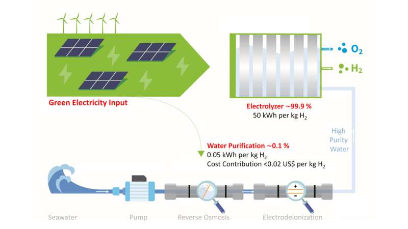 Green hydrogen from direct seawater electrolysis- experts warn against hype