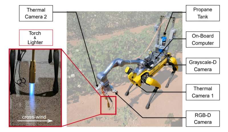 Robot Spot co<em></em>nfigured to find and stun weeds using a blowtorch